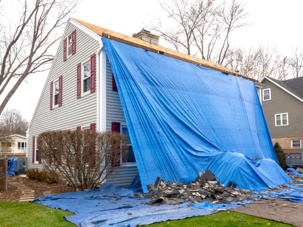 Best Custom Trim and Detailing for Siding  in Monroe Manor, NJ