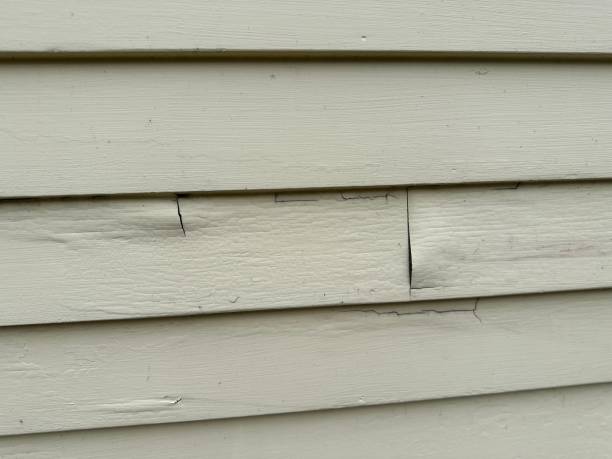 Affordable siding repair and maintenance services in Monroe Manor, NJ